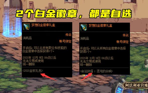 dnf什么部位徽章镶嵌，dnf什么部位徽章镶嵌好？