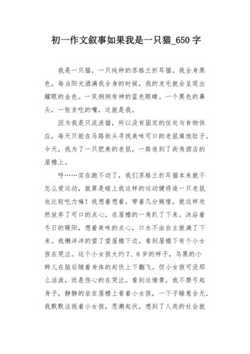 与猫谈判答案大全？与猫对话软件下载？