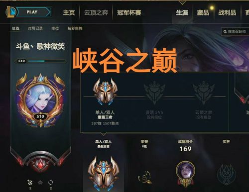 英雄联盟峡谷之巅是什么意思