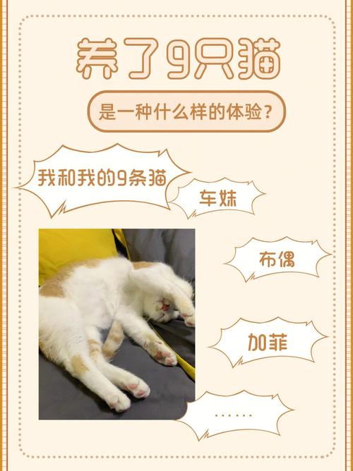吃掉自己养的宠物是一种怎样的体验,分享一下?