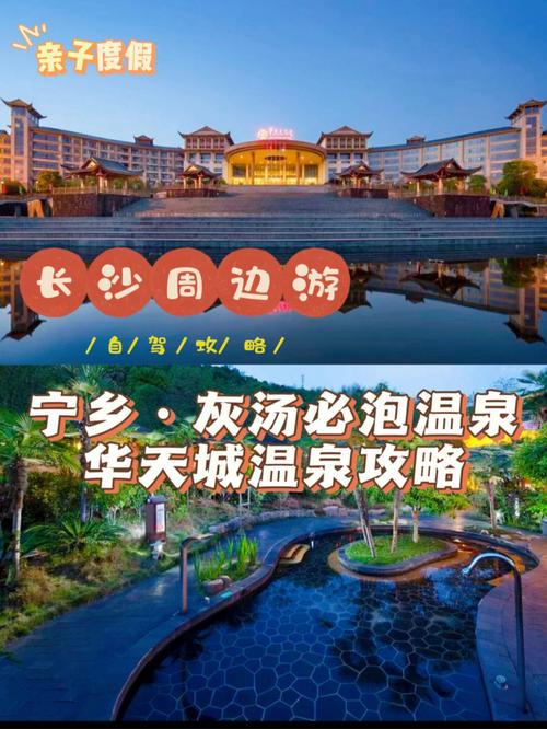 韩国攻略第2关去吃西餐吧3s攻略，韩国西餐厅综艺