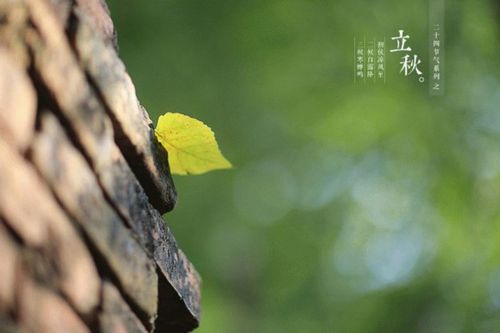 四时即景高分搭配攻略，2020四时即景攻略平民