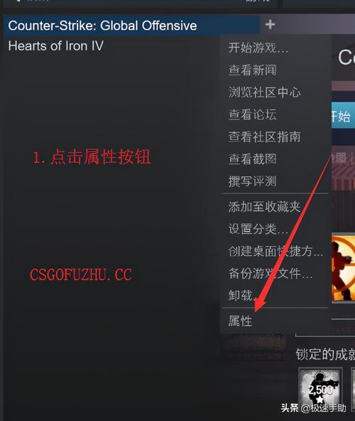 csgo国服怎么开？csgo国服怎么开箱子？