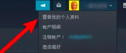 steam账户名称忘了怎么查