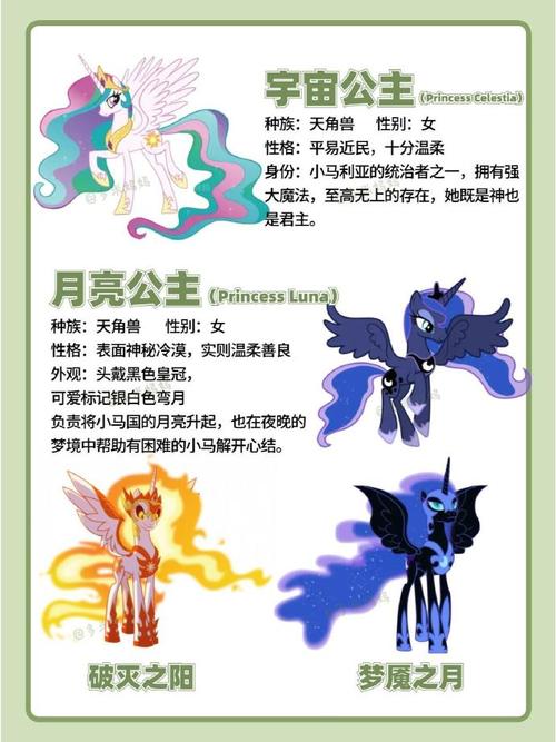 小马宝莉多少岁了?