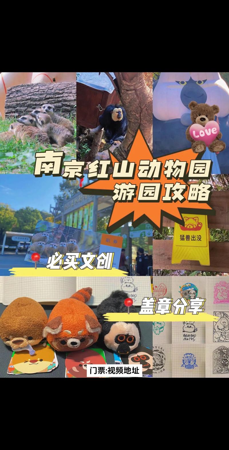 成都动物园路线攻略,犀牛旅游攻略