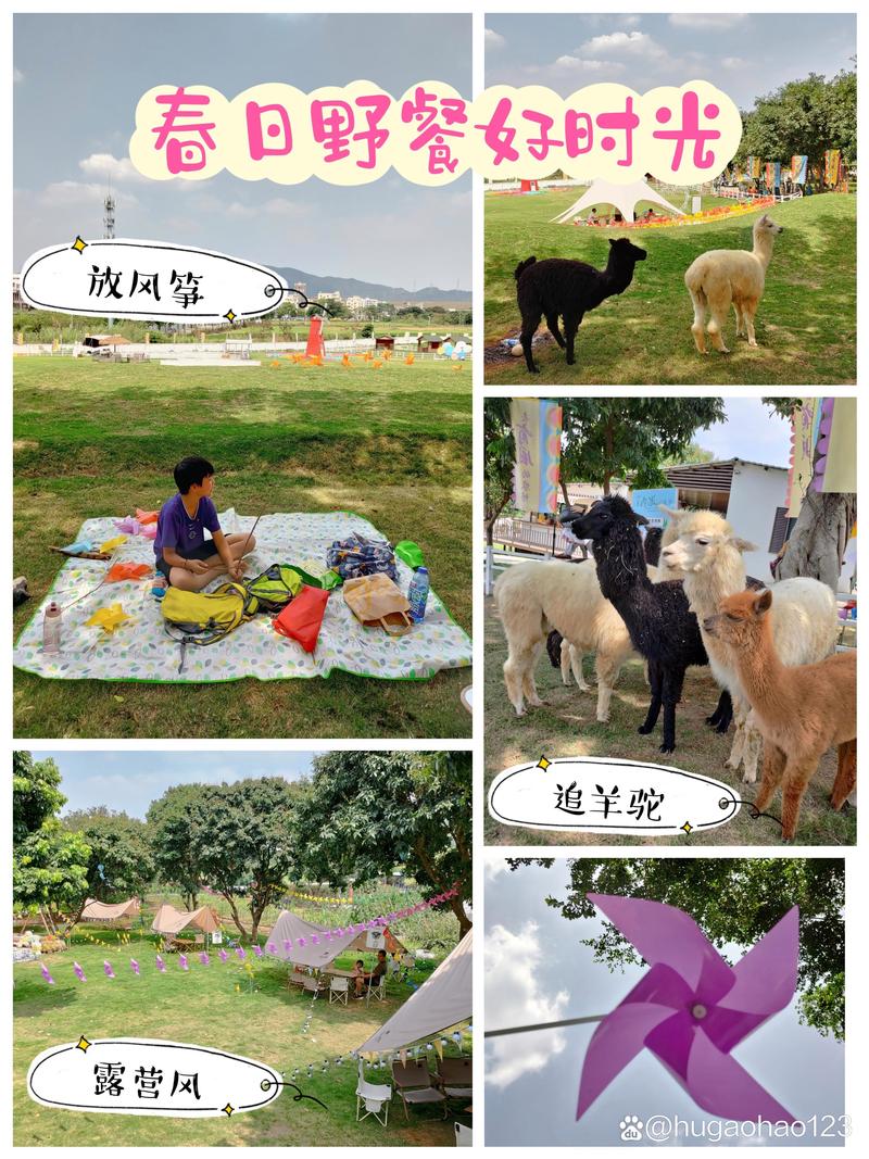 深圳一区大观园人多吗