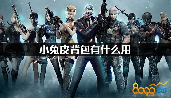 cf小兔皮是啥