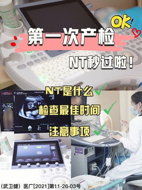 胎儿发育检查多少钱