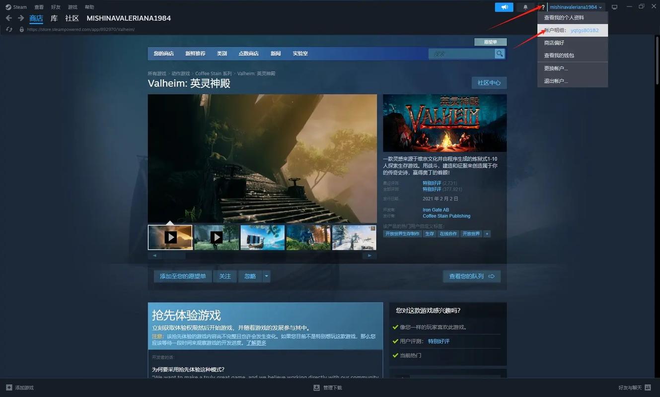 steam用哪个代理好