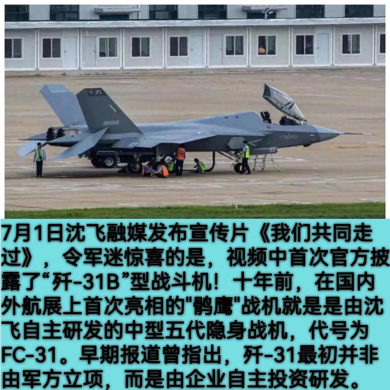 代号龙!龙!龙!小说txt全集免费下载