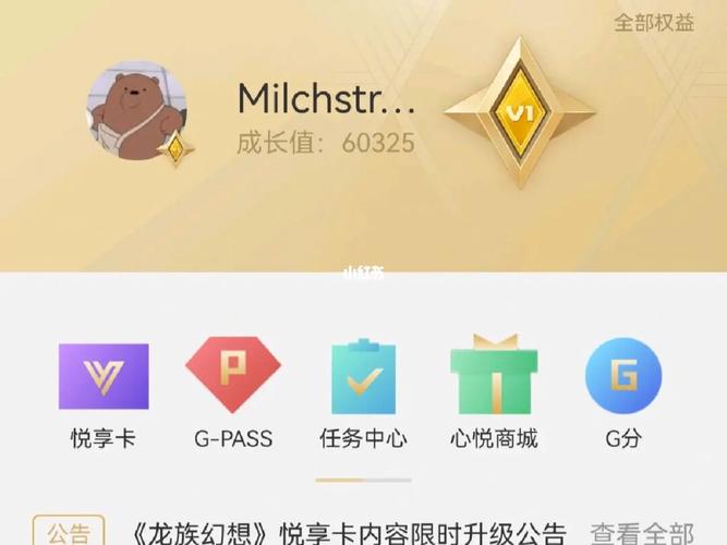 和平精英国际服怎么充钱?
