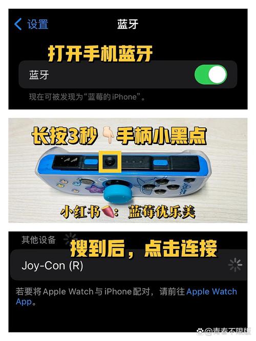 switchpro手柄连接steam教程