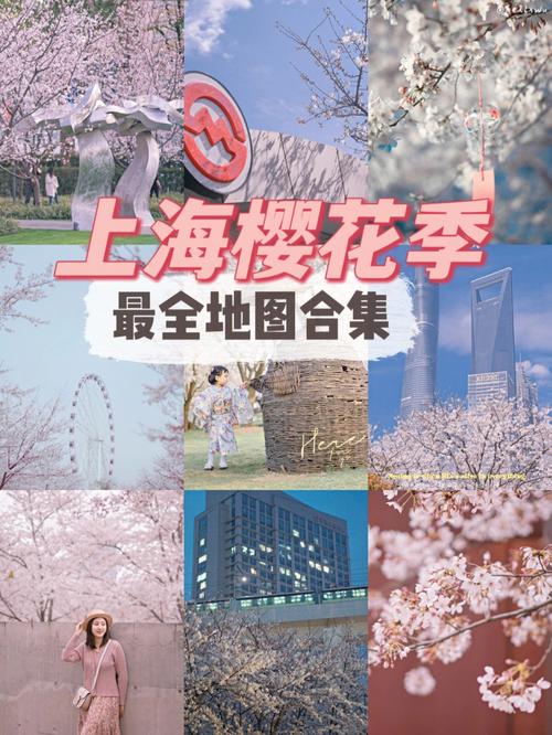 2022上海顾村公园赏樱花节游玩攻略推荐