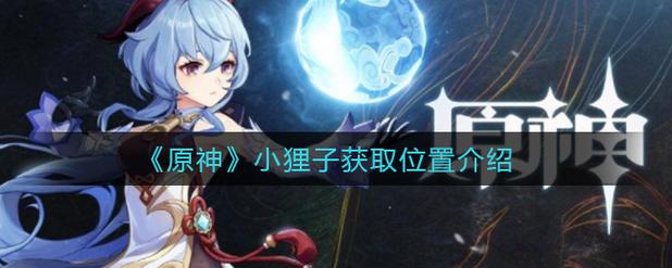 原神寻找小狸子任务怎么做