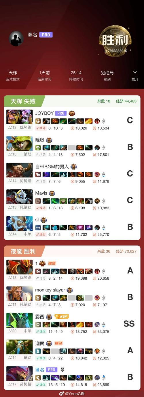 dota2国服启动项代码是什么-国服启动项代码命令大全