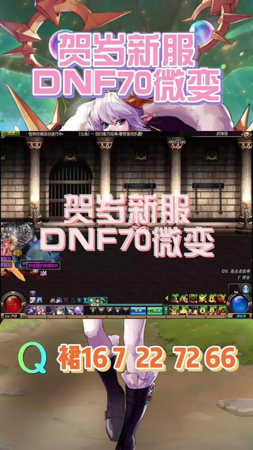 DNF关羽宠物怎么弄武圣关羽宠物怎么获得