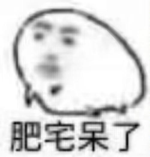 肥宅是什么意思