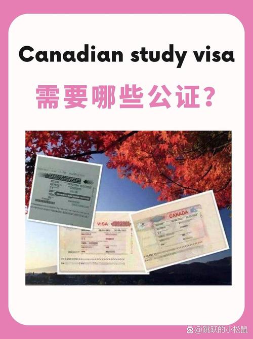 第一次去加拿大留学都要带什么?