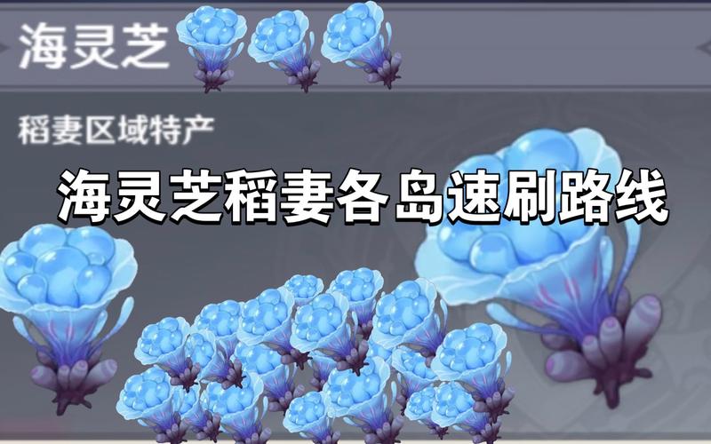 原神海灵芝有什么用