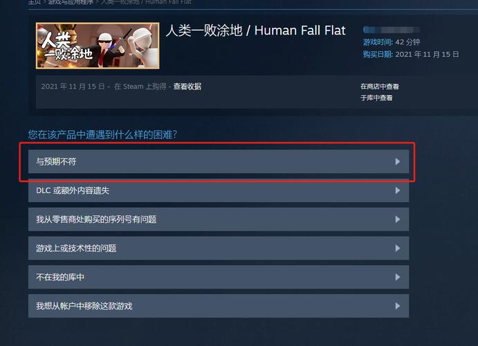 steam选择启动选项有什么区别