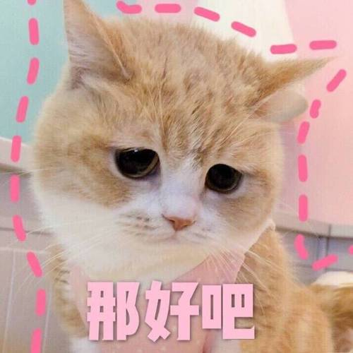 qq空间尖叫吧喵星人怎么不能玩了