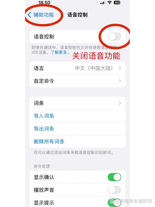 手机说话功能怎么开启
