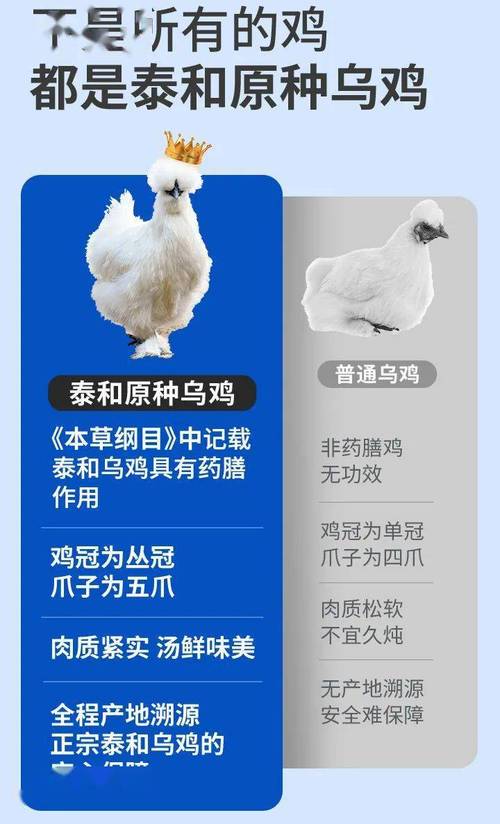 乌鸡吃力量还是独立