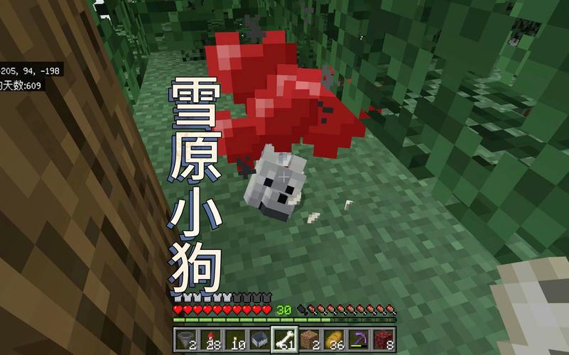 我的世界狗图鉴
