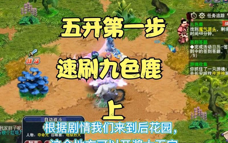 梦幻西游中怎么得到五宝啊