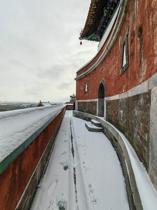 北京2022年的初雪,放大100倍是什么样子?
