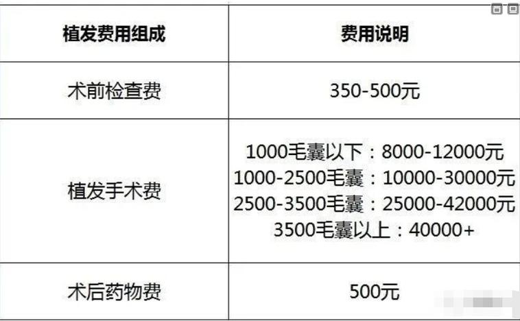 种植发际线大概要多少钱啊?