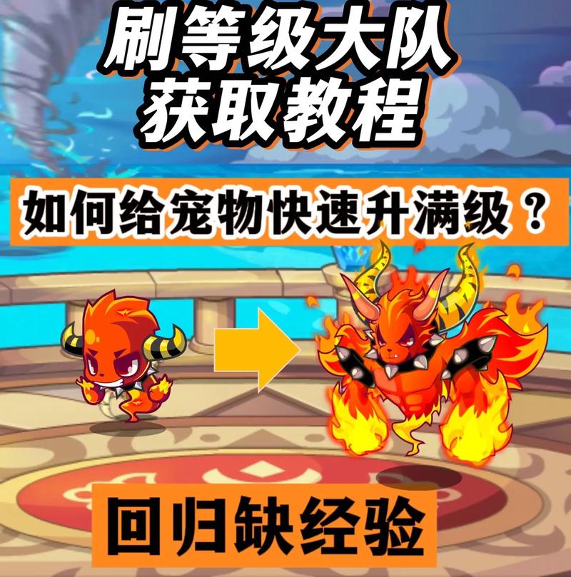 洛克王国宠物怎样快速升到100级
