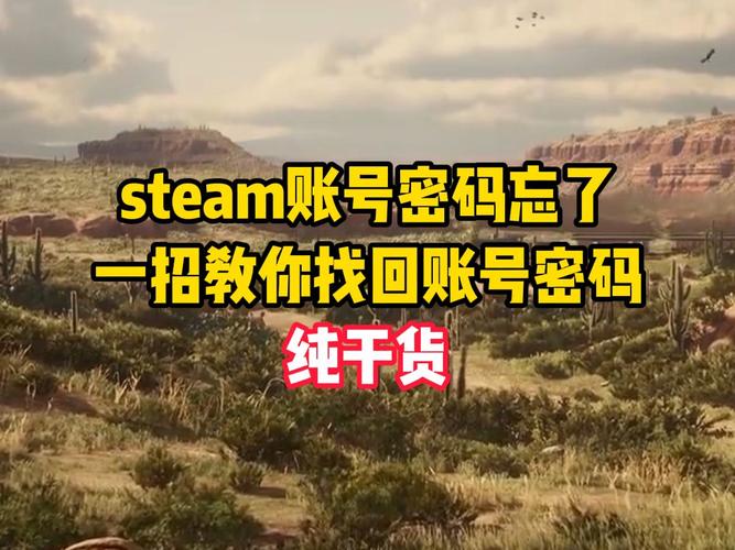 stamen官网账号密码如何找回