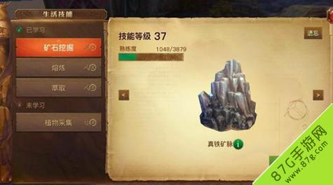 光明大陆暴躁的元素在哪里