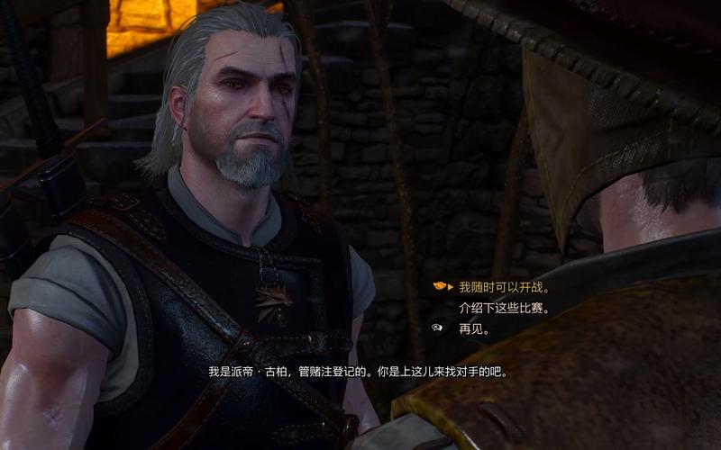 巫师3-最高难度加点及战斗通关心得