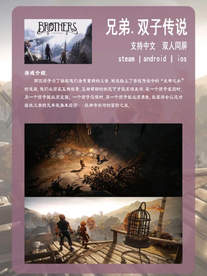 游戏《双子》的详细介绍。