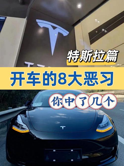 开特斯拉的基本都是啥人