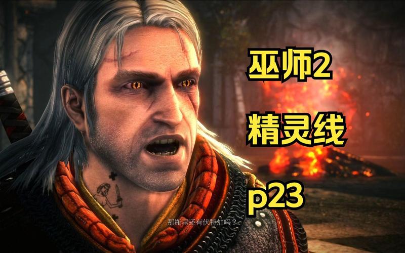 巫师2国王刺客剧情巫师2刺客之王剧情攻略