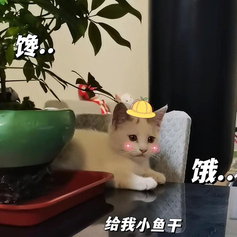 仙剑3净化魔剑(高分)