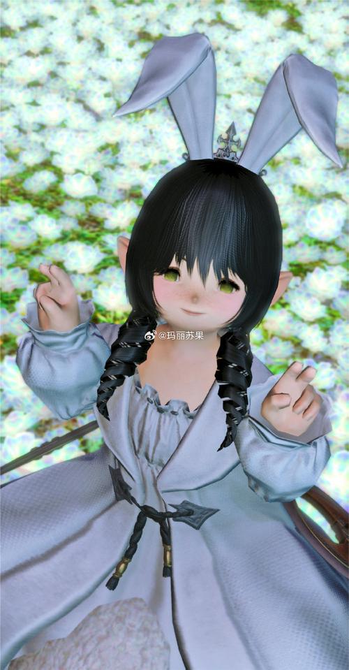 ff14要去新区豆豆柴吗