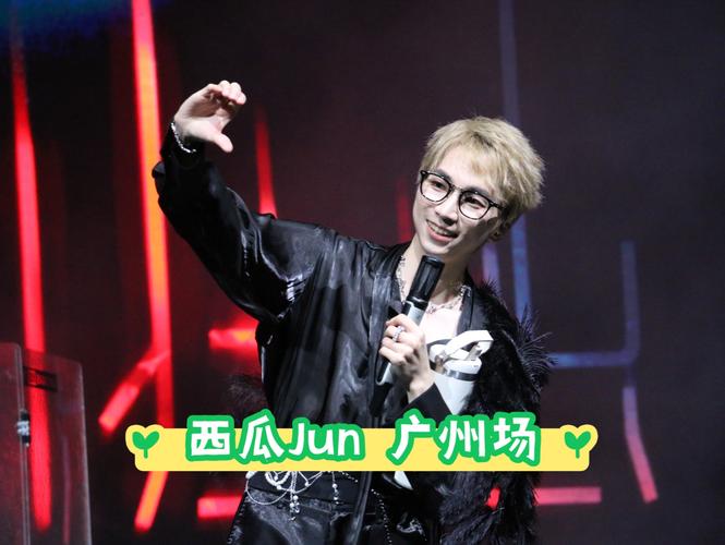 西瓜jun为什么退圈了?