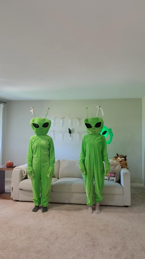 外星宠物的详细玩法