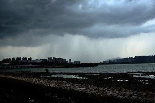 《原神》山雨欲来风满楼任务攻略介绍_《原神》山雨欲来风满楼任务攻略...