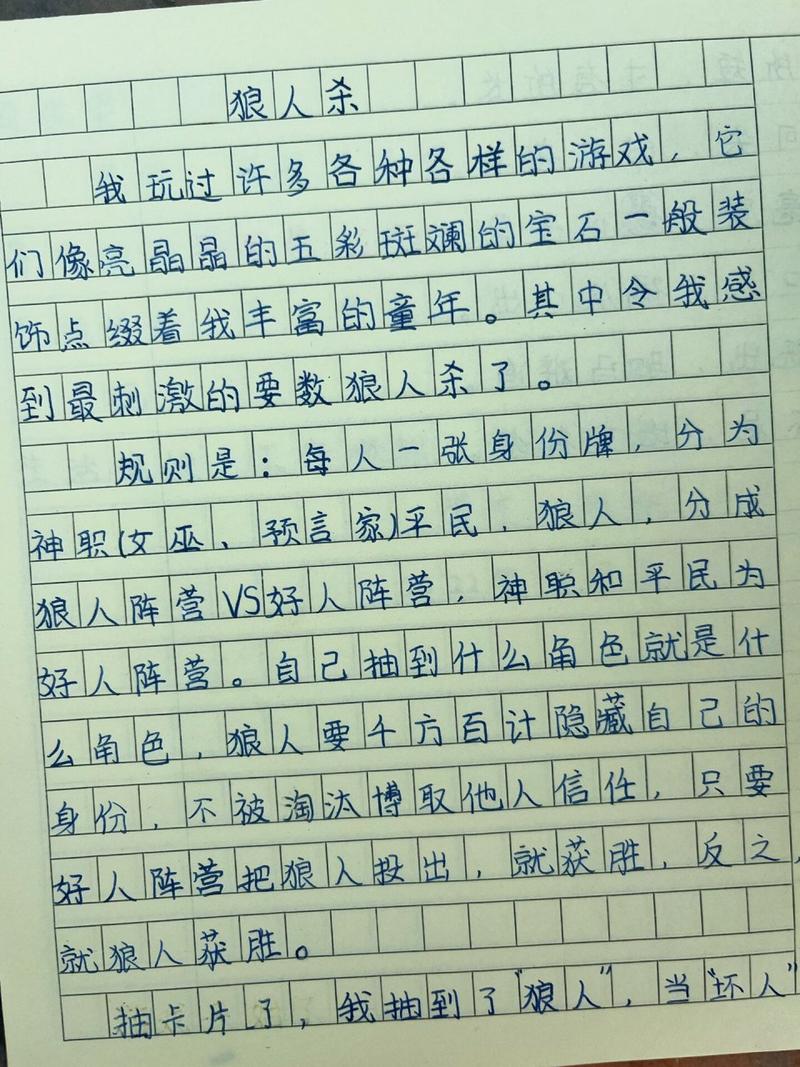 游戏介绍怎么写作文
