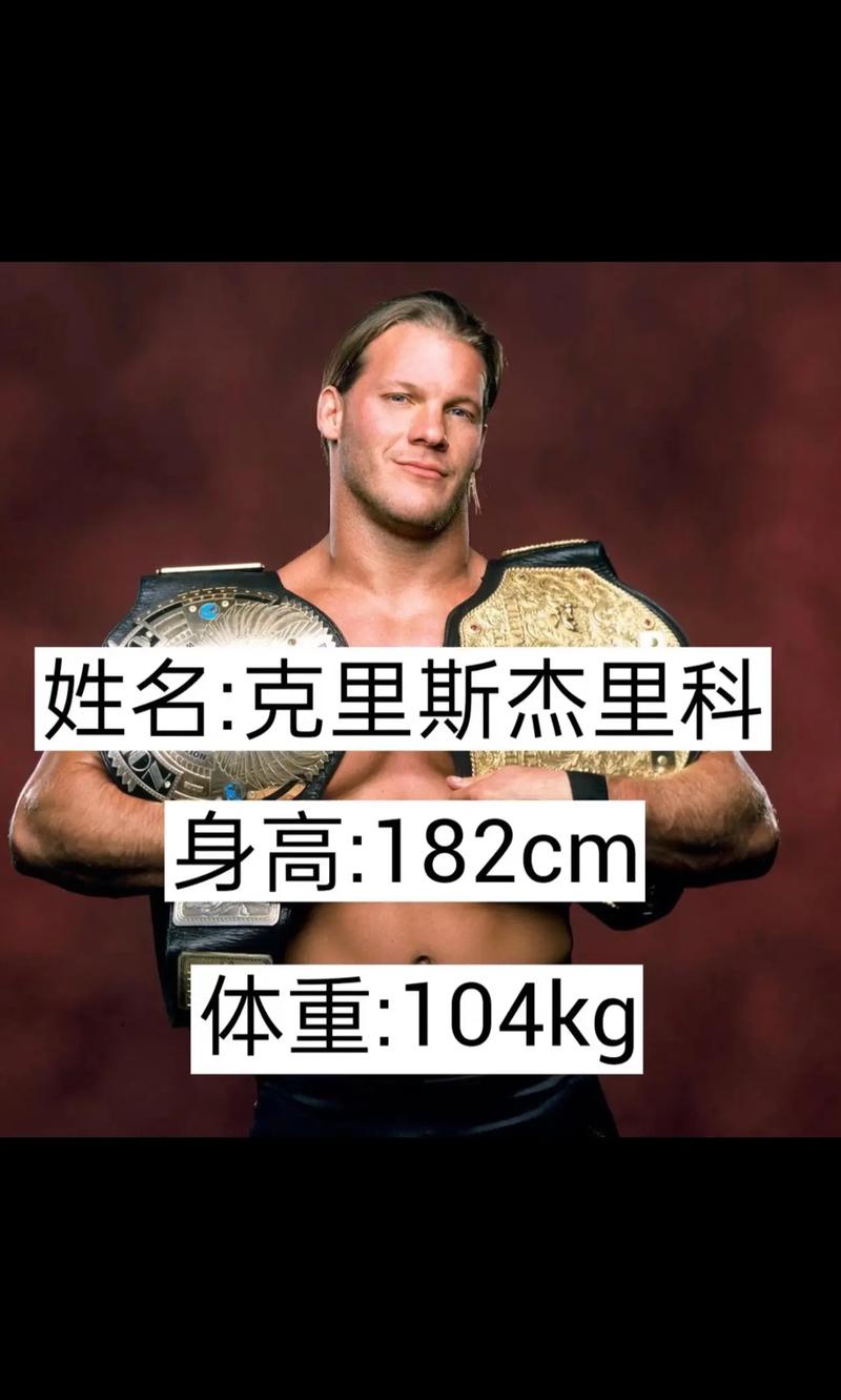 wwe冠军是谁??