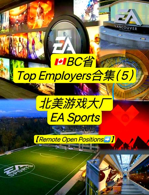 ea橄榄球手游