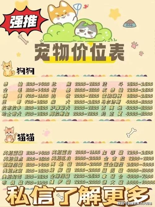 博美犬6个月大的多少钱一只