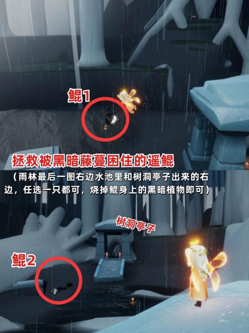 光遇蜡烛雨林位置