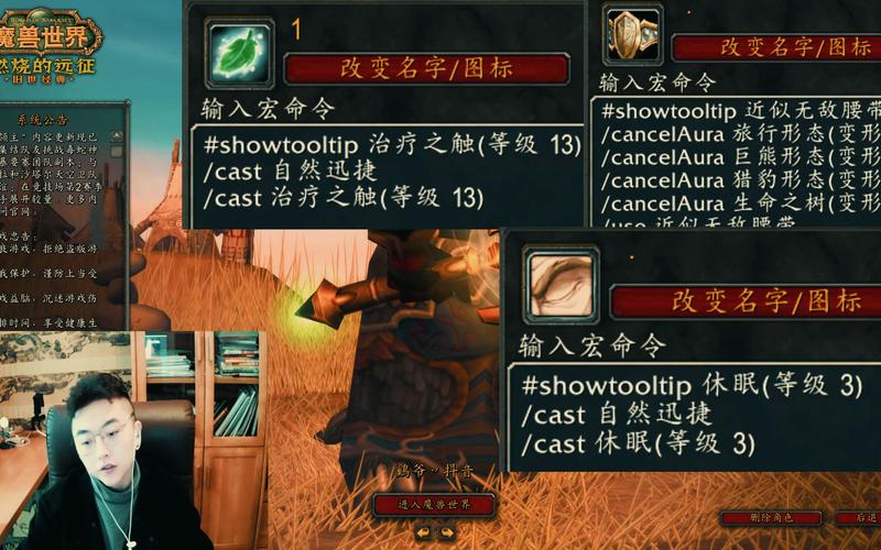 tbc德鲁伊制皮分支选什么